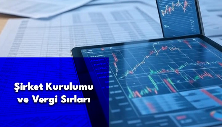 Şirket Kurulumu ve Vergi Sırları