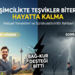 Şirket ve Girişimci Rehberi 2026