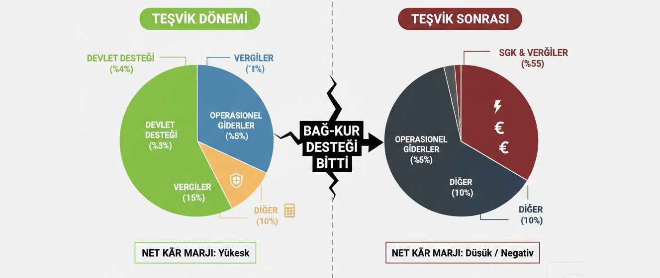 Teşvik Dönemleri Öncesi ve Sonrası